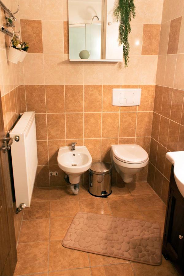 Apartament Mountain Life Busteni Exterior photo